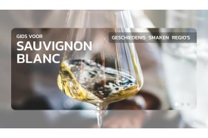 Ontdek de geheimen van Sauvignon Blanc: Ultieme gids voor deze iconische wijn