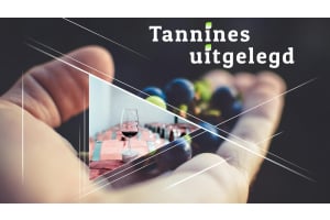 Tannines uitgelegd: Hoe ze je wijn beïnvloeden