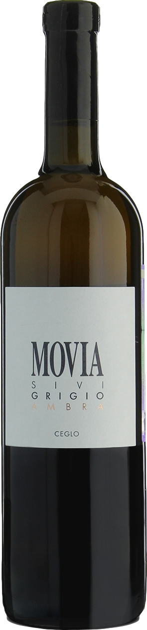 Movia Sivi Grigio Ambra 2023 afbeelding