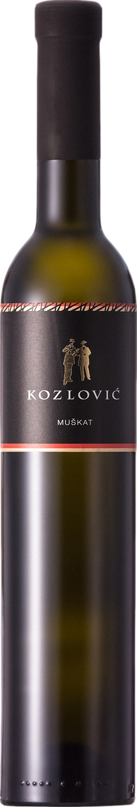 Kozlovic Moskat Momjanski 2025 afbeelding