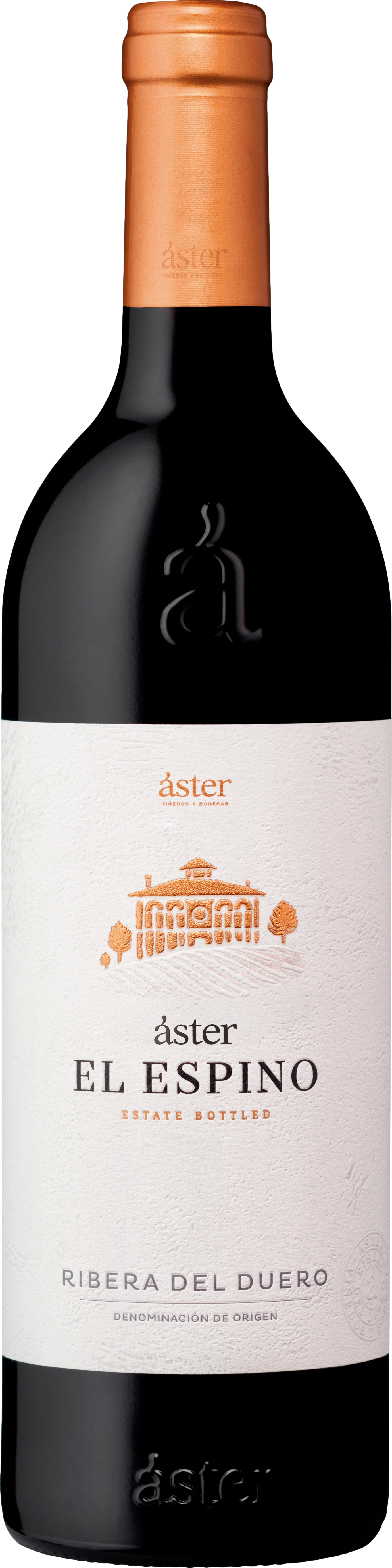 Aster El Espino 2021 afbeelding