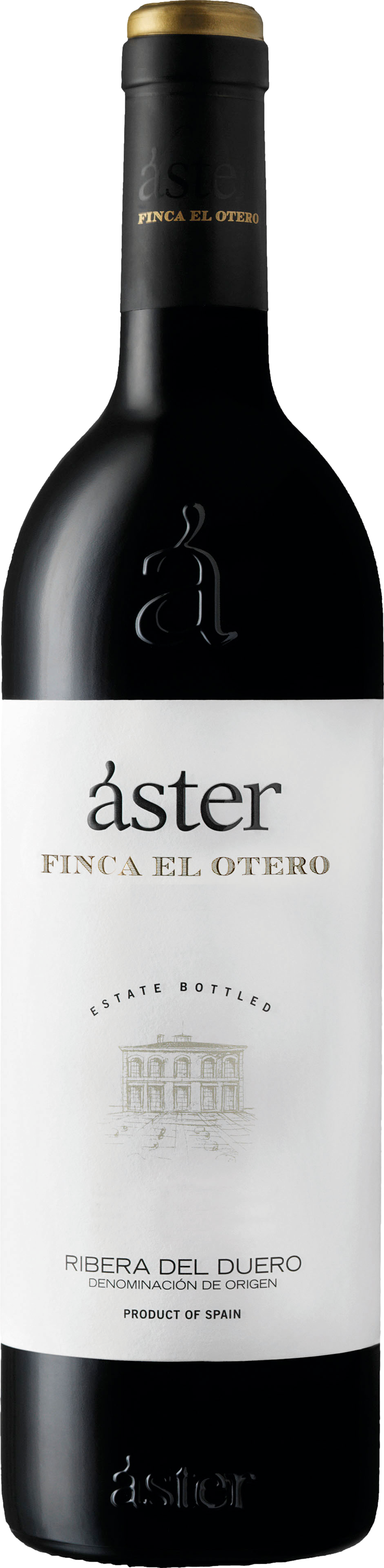 Aster Finca El Otero 2021 afbeelding