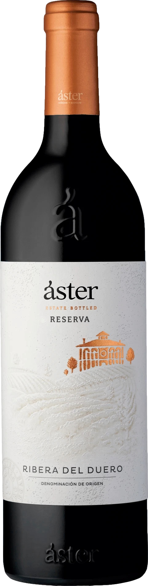 Aster Reserva 2022 afbeelding