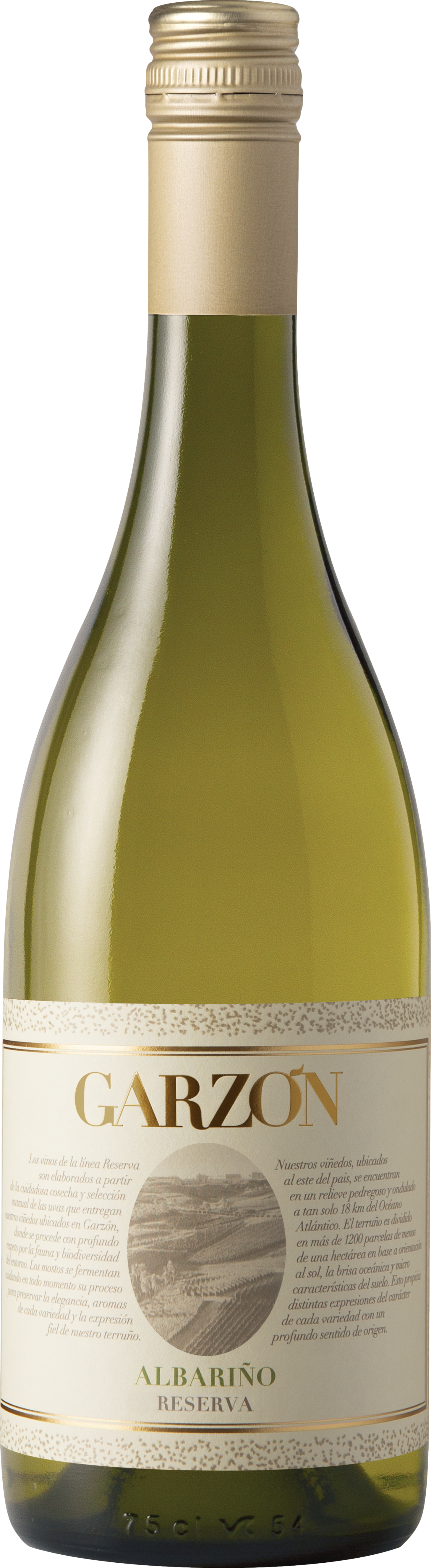 Bodega Garzon Reserva Albarino 2023 afbeelding