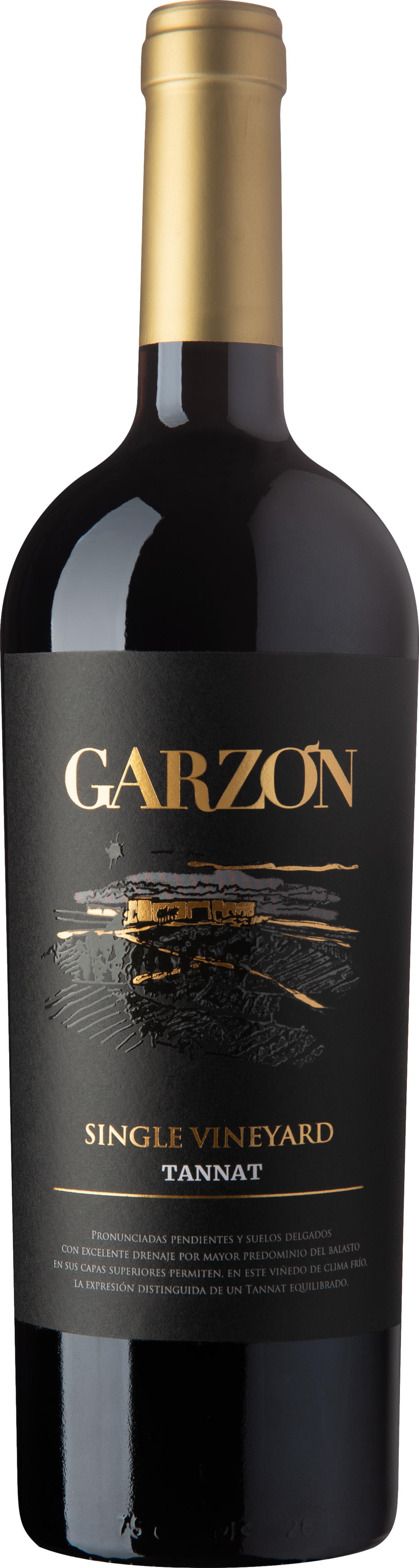 Bodega Garzon Single Vineyard Tannat 2022 afbeelding