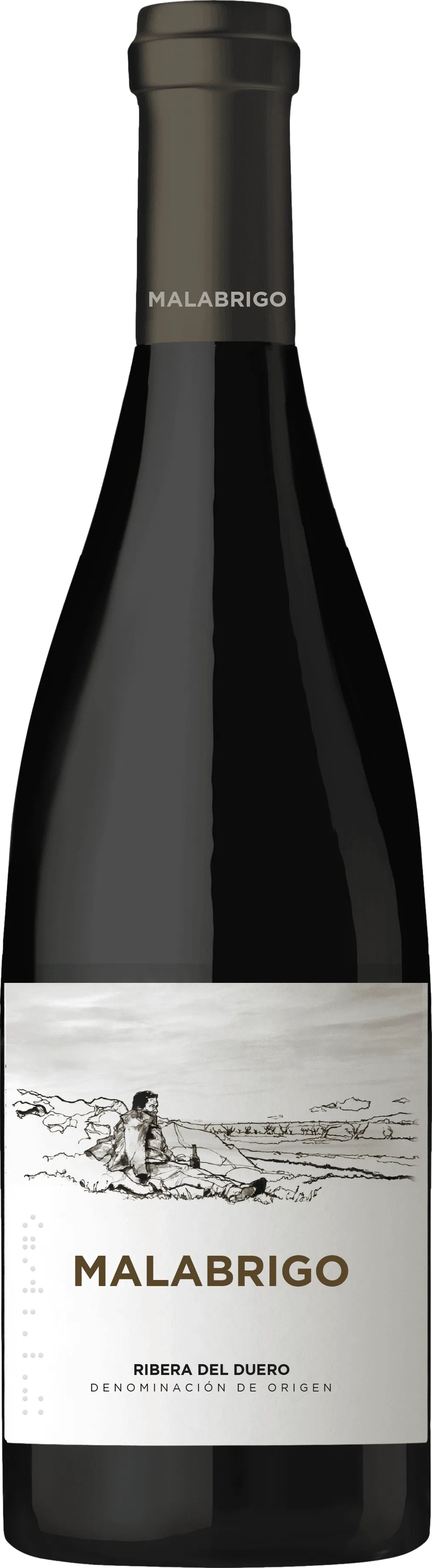 Bodegas Cepa 21 Malabrigo 2021 afbeelding
