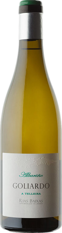 Bodegas Forjas del Salnes Goliardo A Telleira Albarino 2023 afbeelding
