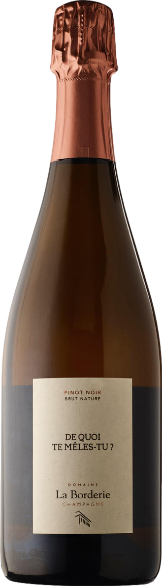 Champagne Domaine la Borderie De Quoi Te Meles Tu Blanc de Noirs Extra Brut afbeelding