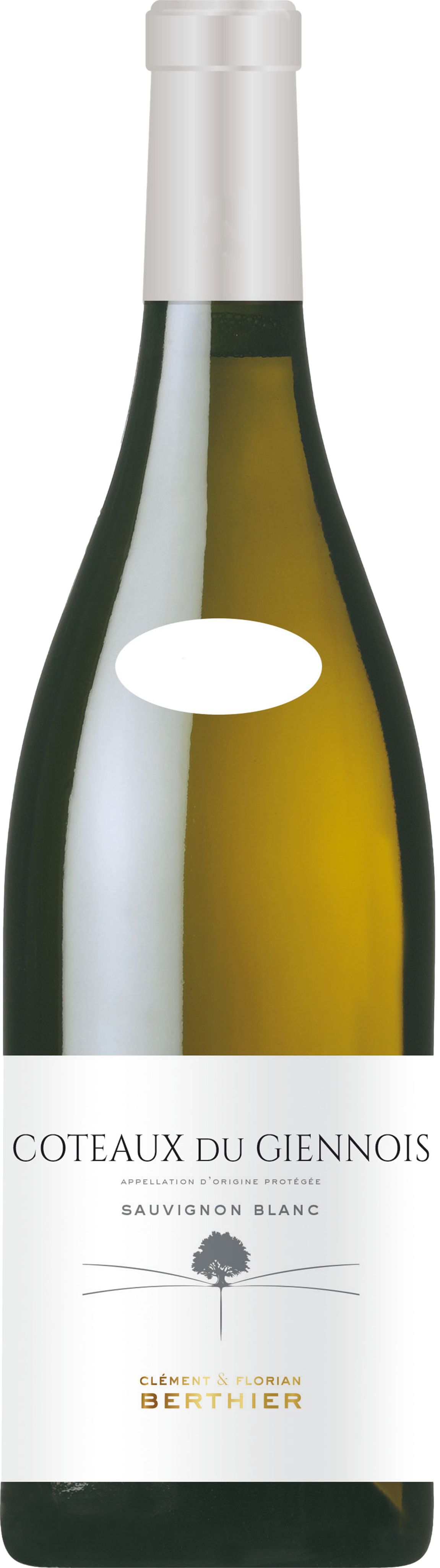 Clement & Florian Berthier Coteaux du Giennois Blanc 2023 afbeelding