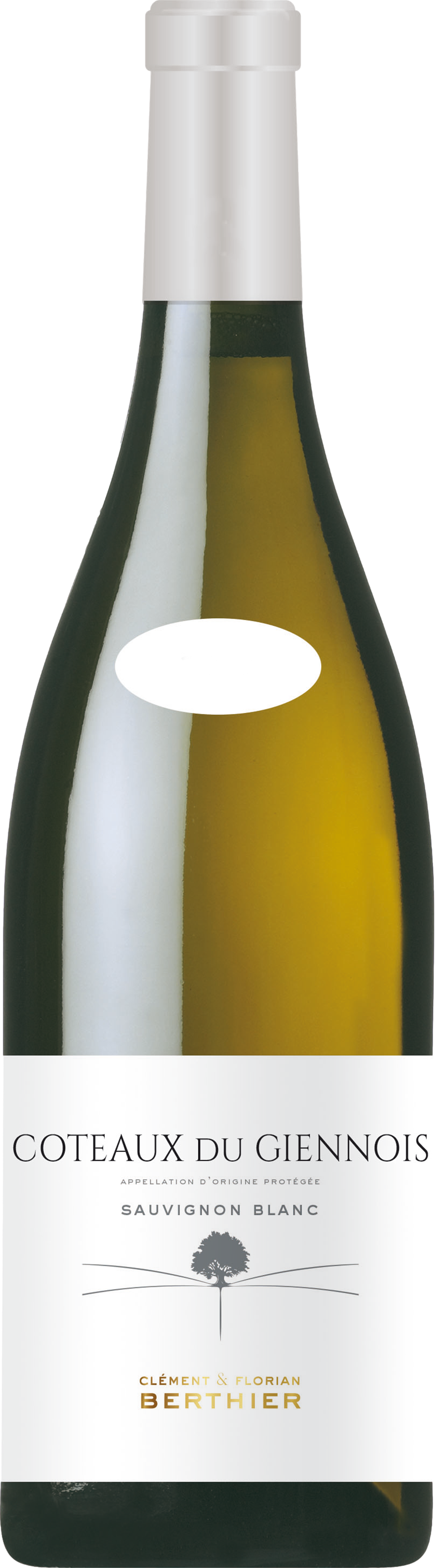 Clement & Florian Berthier Coteaux du Giennois Blanc 2024 afbeelding