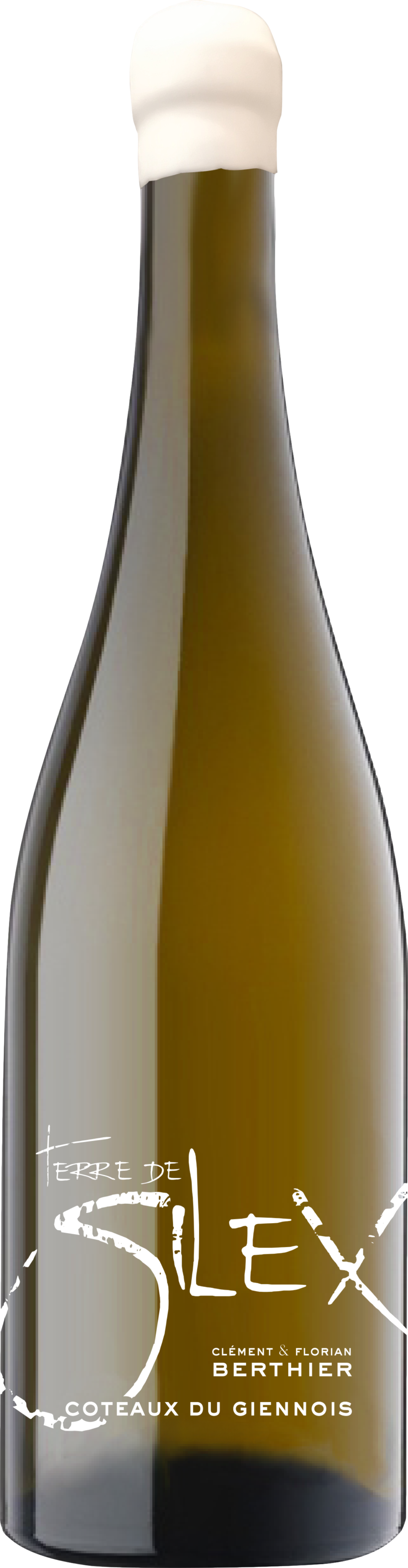 Clement & Florian Berthier Coteaux du Giennois Terre de Silex 2023 afbeelding