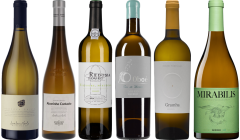 Portugese Witte Wijnen Premium Proefpakket