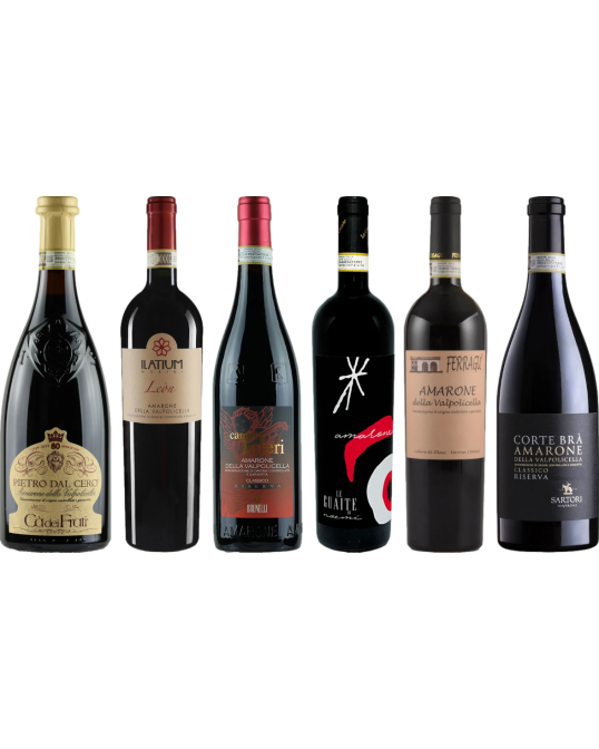 Amarone premium proefkoffer