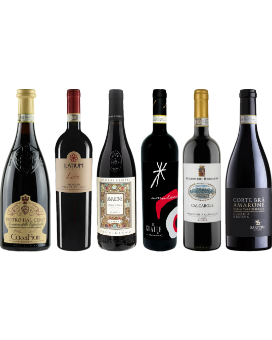 Amarone premium proefkoffer