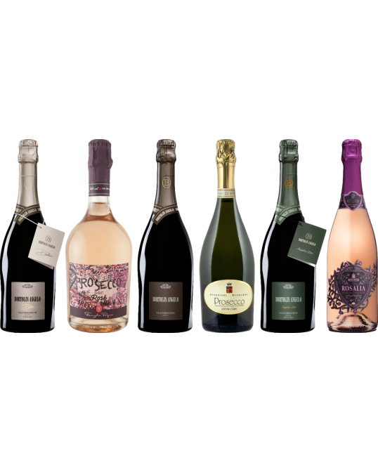 Prosecco Premium Proefkoffer