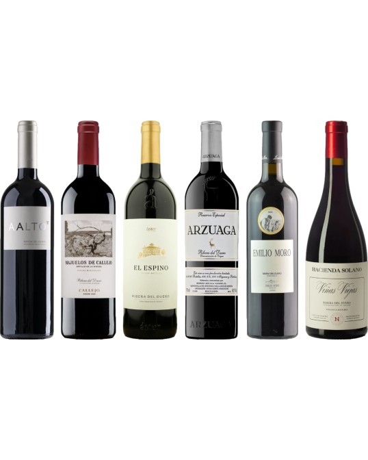 Ribera del Duero Premium Proefkoffer