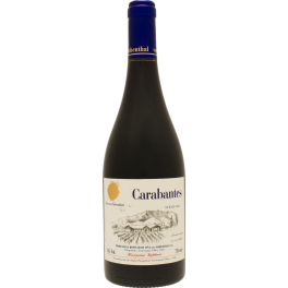 Vina von Siebenthal Carabantes Syrah 2022