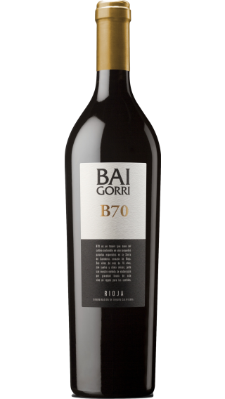 Bottle of Baigorri Rioja B70 2019 wine 750 ml