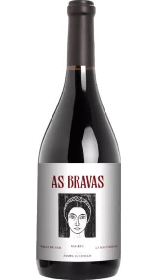 Bottle of El Enemigo As Bravas Malbec 2016 wine 750 ml