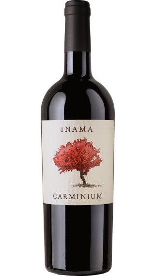 Bottle of Inama Carminium 2020 wine 750 ml