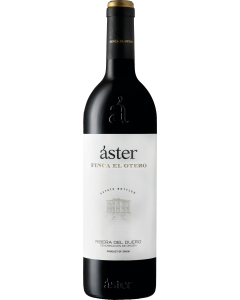Aster Finca El Otero 2021