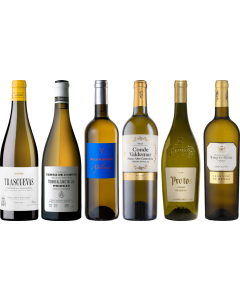 Spaanse Witte Wijnen Premium Proefpakket