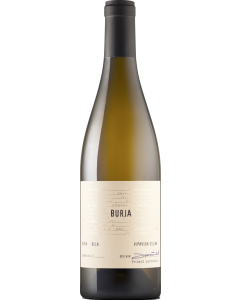 Burja Bela 2023