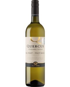 Klet Brda Quercus Pinot Blanco 2025