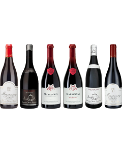 Marsannay Premium Proefkoffer