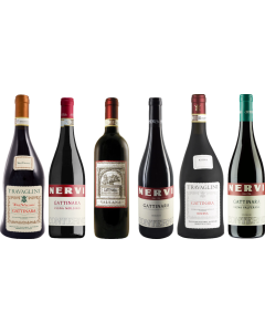 Piemonte Gattinara Premium Proefpakket