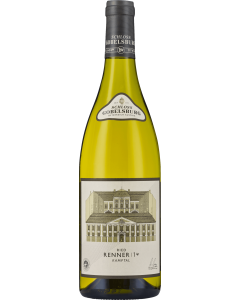 Schloss Gobelsburg Ried Renner Erste Lage Gruner Veltliner 2023