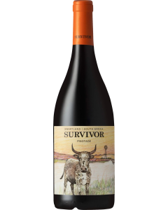 Survivor Pinotage 2024