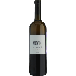 Movia Sivi Grigio Ambra 2023