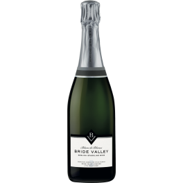 Bride Valley Blanc de Blancs Brut 2017