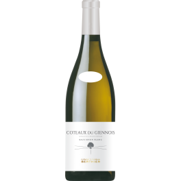 Clement & Florian Berthier Coteaux du Giennois Blanc 2024