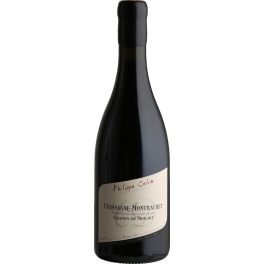 Philippe Colin Chassagne Montrachet Champs de Morjot 2022