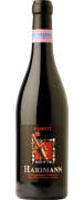 Pasetti Harimann Montepulciano d'Abruzzo 2012 (Niet op voorraad)