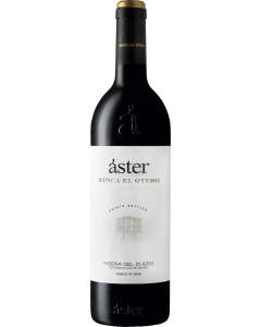Aster Finca El Otero 2021