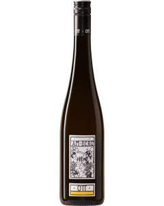 Bernhard Ott Am Berg Gruner Veltliner 2024