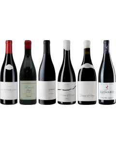 Bierzo en Galicia Mencia premium proefkoffer