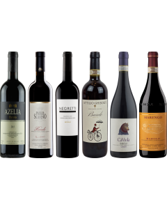 Topwaarde Barolo Proefkoffer