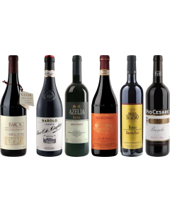 Barolo Premium Proefkoffer