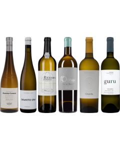 Portugese witte wijnen Premium Proefkoffer