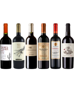 Carmenere proefkoffer