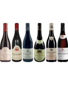 Gevrey Chambertin Proefkoffer