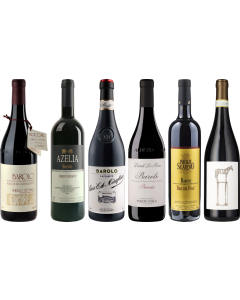 Barolo Premium Proefkoffer