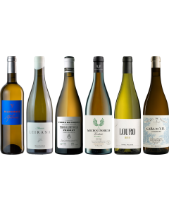 Spaanse Witte Wijnen Premium Proefpakket