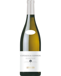 Clement & Florian Berthier Coteaux du Giennois Blanc 2024