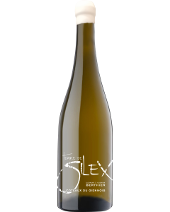 Clement & Florian Berthier Coteaux du Giennois Terre de Silex 2023
