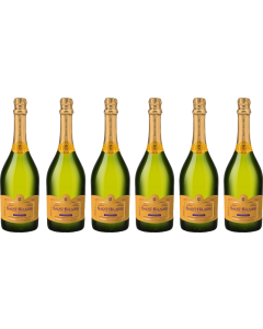 Saint Hilaire Blanquette de Limoux 6 Flessen Geval